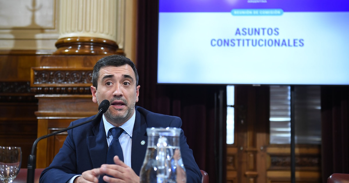 Argentina’s Senate Opens Debate on Election Reform as Allies Push Separate Clean Record Bill