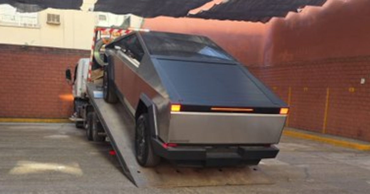 Despite Milei’s Support, a Lawmaker’s Tesla Display Stirred Unease Inside the Government