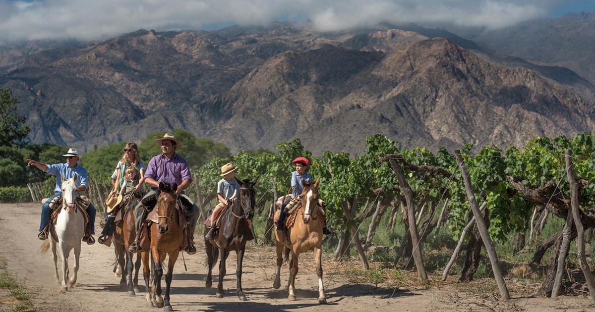 Salta Aggressively Turns Rio Link Into a Regional Power Play for Tourism and Trade