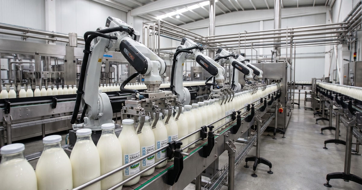 Milk Production Rises, but Farmers Face Shrinking Margins and Record Debt